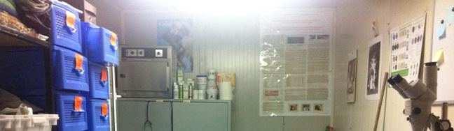 The mini vet clinic of Pro