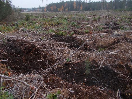 Luonnonmukainen valuma- ja