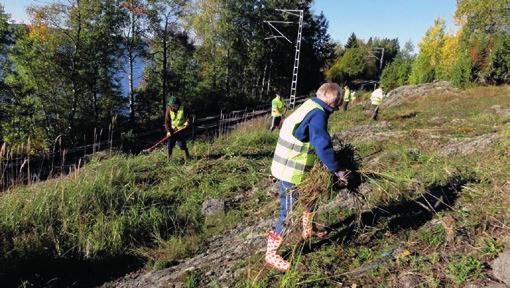 Oppaana toimivat Sari Lehtinen, Keijo Rantanen ja Kaija Helle, jolle tiedustelut ja kimppakyytien vuoksi ilmoittautumiset. su 14.7.