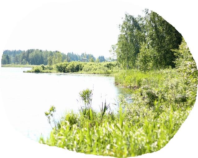 Tutkimuksen taustaa Tutkimus on yksi Pohjois- Savon ja Pohjois-Karjalan alueella toteutettavan Ravinnerenki-hankkeen (6/2015 5/2019) tutkimuksista.
