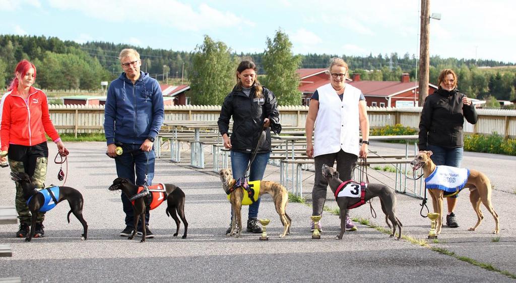 Theo on Suomen Mestari Oikealla whippetien Suomen Mestari Tony Stark ja Pauliina, hopeaa Meryl Streep ja pentuesisarusten kasvattaja Sari Salminen, pronssia Lemon, Fairytale II, Jolie.