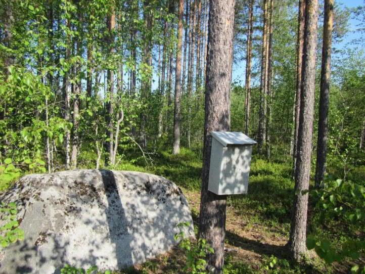 7 Selvitysalueen poikki kulkee Ouluntulli-Tyrnävä-Muhos ja Ouluntulli-Korvenkylä moottorikelkkareitit, jotka