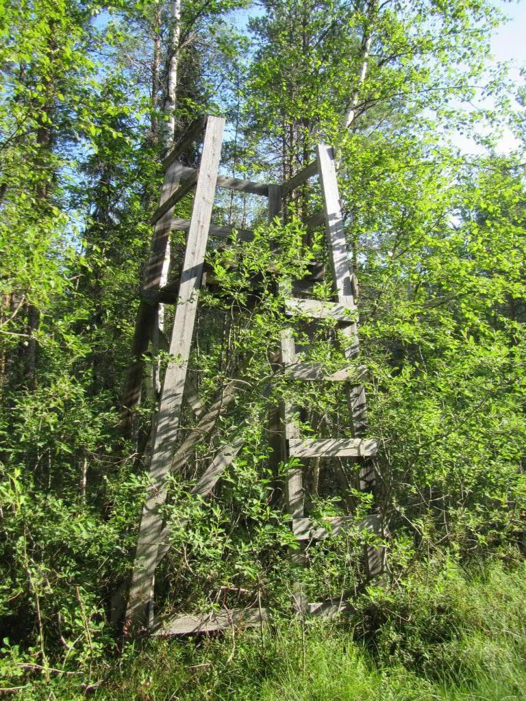 Lisäksi alueen itäosan poikki kulkevan sähkölinjan alla on polku.