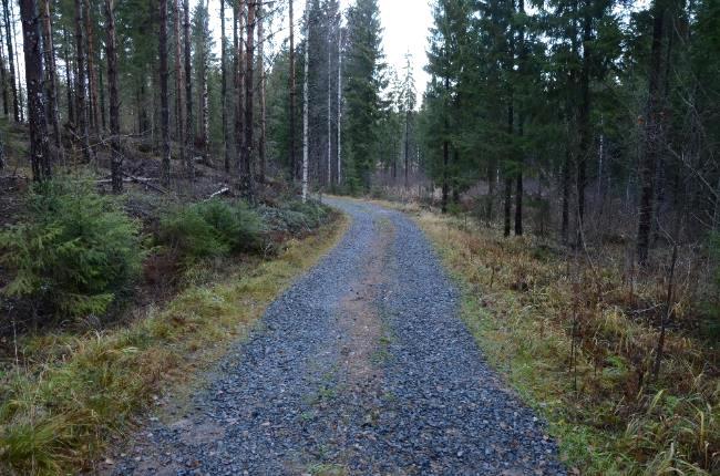 kanssa Virtaamamaksimien kohdalta löytyi lähes aina rumpu