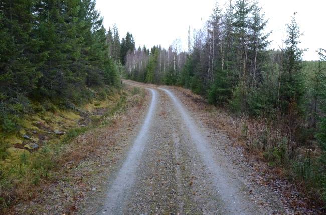 näyttäisi myös löytyvän korrelaatiota kenttäkohteista Pusikoituneet ojaosuudet eivät