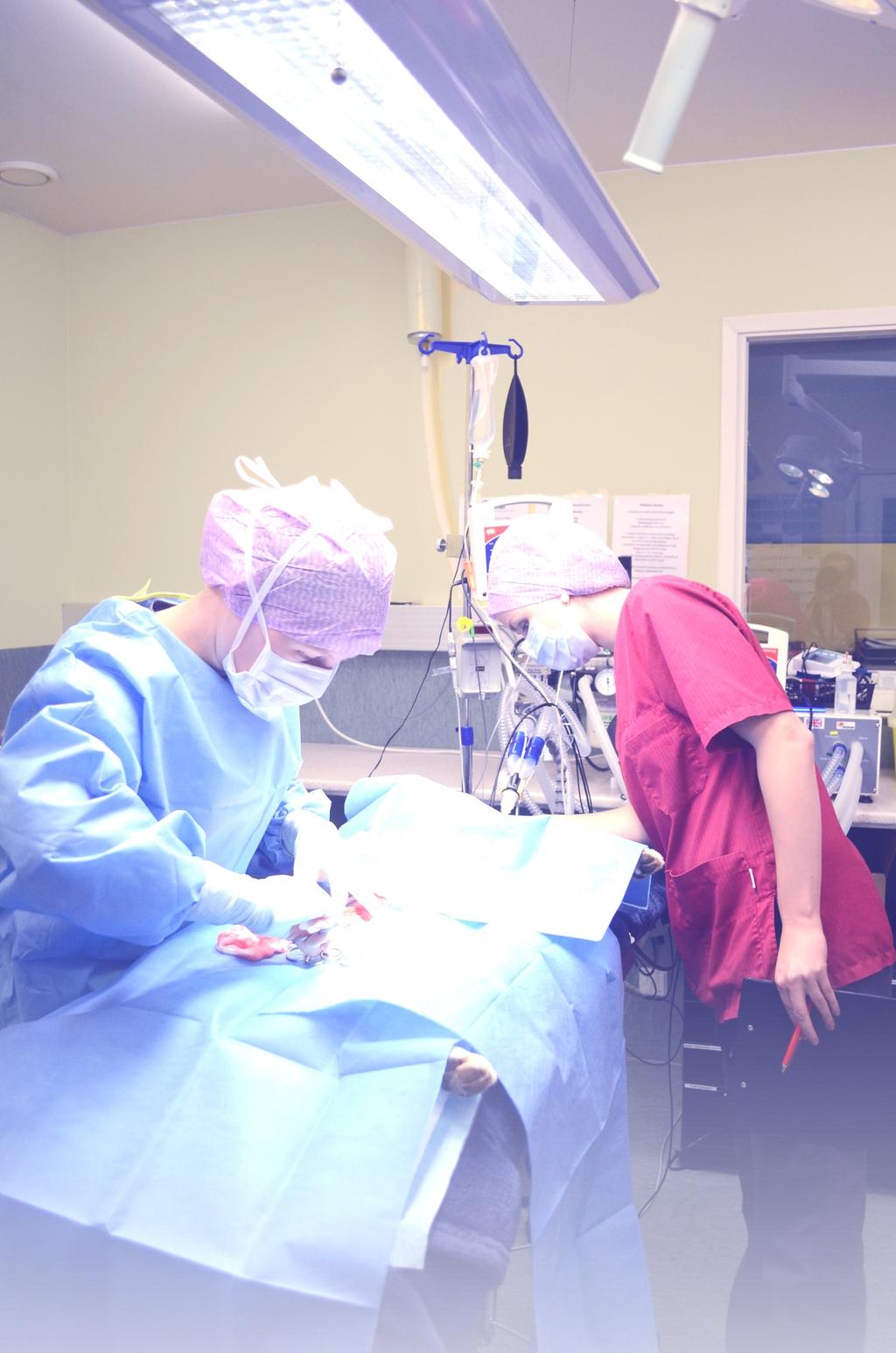 Eläinklinikaltamme löydät kaikki lemmikkien peruspalvelut. Eläinlääkärit, klinikkaeläinhoitajat sekä avustajat ovat valmiina palvelemaan juuri sinua ja lemmikkiäsi.