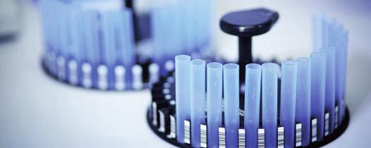Yritys toteuttaa syövän immunoterapiaprojekteja, jotka perustuvat joko kohdennettuun, kasvainkohtaiseen lähestymistapaan tai