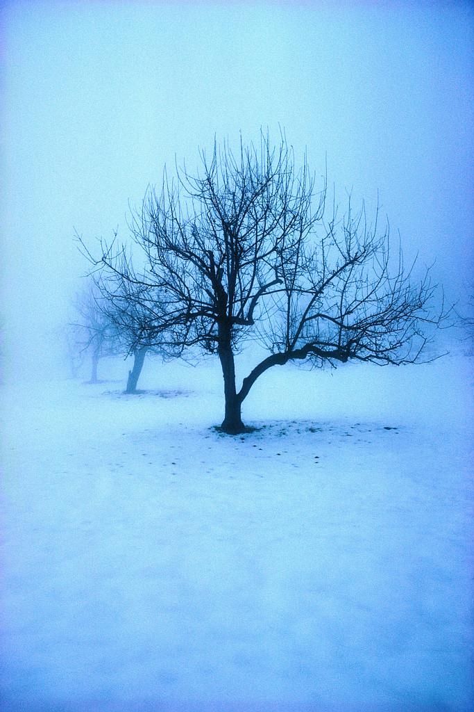 KIITOS