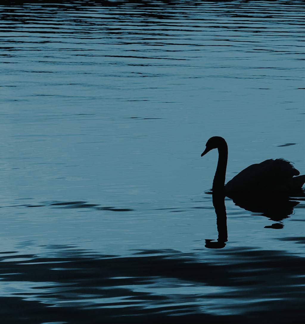Tekoäly ja koneoppiminen tuovat valtiolliseen vaikuttamiseen uusia ulottuvuuksia, ja samalla tavoitteiden saavuttaminen tehostuu ja nopeutuu.