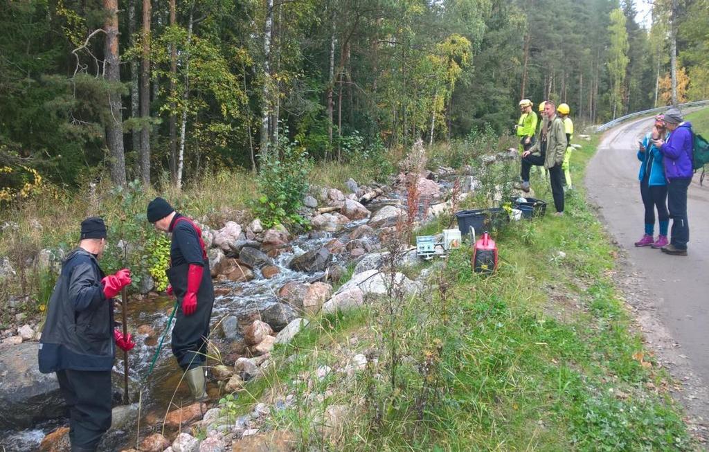 Voimalaitoksen kohta 2017: 1+ 76