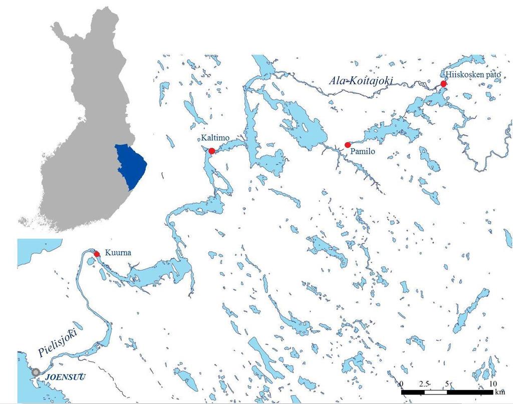 Voimalat ja padot Pielisjoessa ja Ala-Koitajoessa Hiiskosken pato 1955 Kaltimo 1958 Pamilo 1955 Kuurna 1971 Joki MQ, m 3 /s