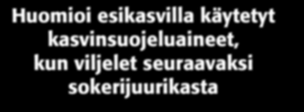 Huomioi esikasvilla käytetyt kasvinsuojeluaineet, kun viljelet seuraavaksi sokerijuurikasta Viljoilla käytetyt valmisteet Ally 50 ST, ISOMEXX, Monitor, Mustang Forte: Sokerijuurikasta ei saa viljellä