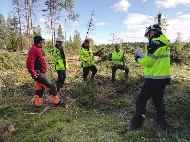 PEFC-METSÄSERTIFIOINTI OSOITTAA, ETTÄ METSIÄ HOIDETAAN KESTÄVÄSTI ALUEELLISILLA PEFC-RYHMÄSERTIFIKAATEILLA UUSI ALUEJAKO ALUEELLISTEN PEFC-ryhmäsertifikaattien aluejako muuttui vuoden 2019 alussa.