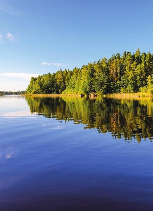 ..6 METSÄNHOIDON VAATIMUKSET PÄIVITETÄÄN OSALLISTU JA VAIKUTA!