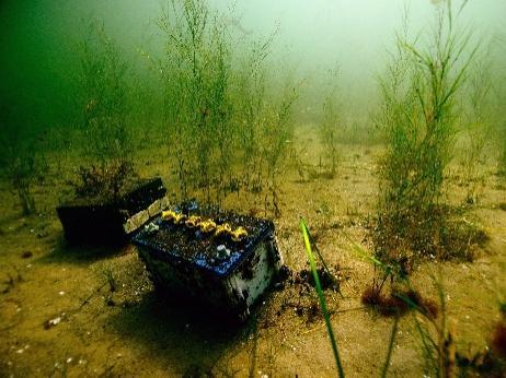 Hydrografisten