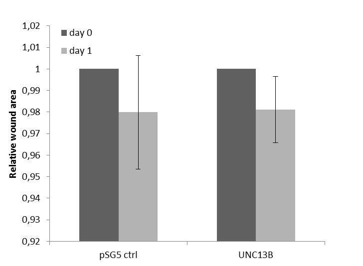 5.2.3 PC-3 cell migration The effect of UNC13B overexpression to PC-3 migration ability was determined by wound healing assay.