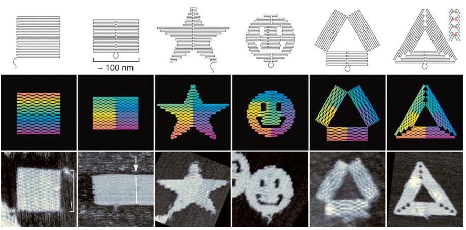 Figure 2.5. Schematic drawings (upper rows) of some fabricated 2D DNA origami structures and their AFM images (lowest row) [22]. Top row represents the folding of the scaffold strand only.