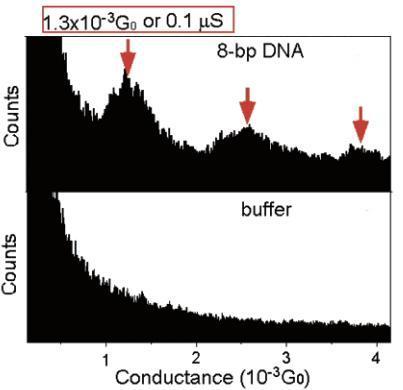 (c) Conductance histogram constructed from more than 500 individual measurements. Well-defined peaks are shown nearinteger multiples of a fundamental value of 1.