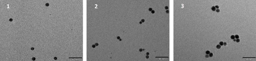 (a) (b) (c) Figure 3.1. Preparing of G4-AgNP-chain conjugates. (a) Chains of AgNPs containing a discrete number of particles electroeluted from an agarose gel (b) are prepared as described in [81].