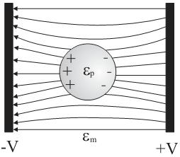 medium. Agarose was added to the final concentration of 1.