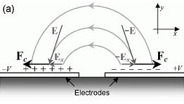 (a) (b) Figure 3.4. A schematic diagram of AC electro-osmosis for two nanoelectrodes separated by a narrow gap.