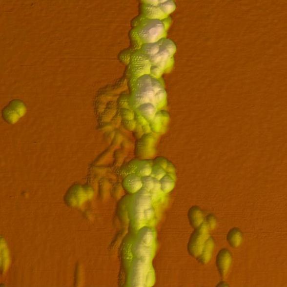 The samples were G4-DNA AuNP flower conjugates. Resistance is of the order of 3 TΩ. Characteristics show hysteretic behaviour due to charging effects.