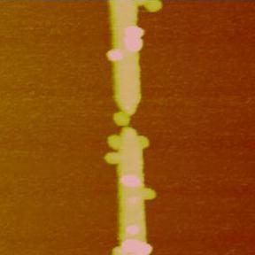 Sample 128 Figure