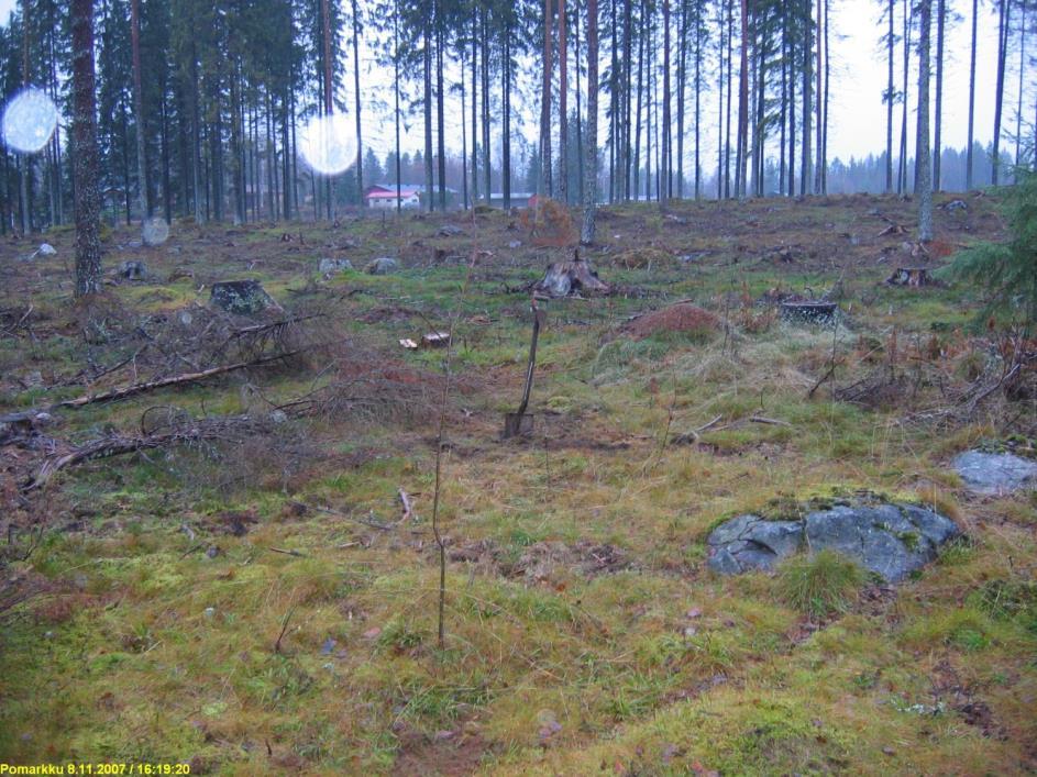 7 POMARKKU 35 AHOLA 2 Rauh.lk: Ajoitus: Laji: 3 (2), ei suojelukohde, kuitenkin suositeltava tutkia ennen mahd.