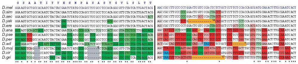 Implications for genome annotation / regulation