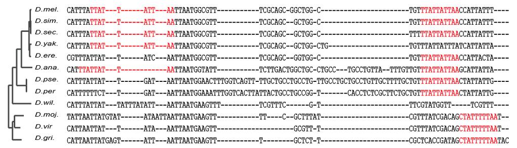 regulatory motifs Regulatory motif instances