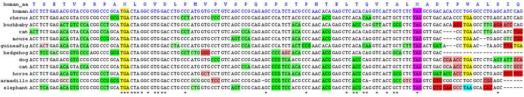 Translational read-through in human & fly Overlapping selection in human exons