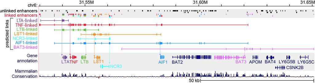 Visualizing 10,000s predicted enhancer-gene links Overlapping regulatory units, both few and