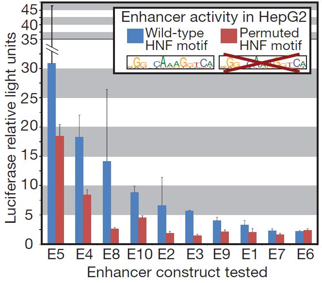 Causal motifs supported by dips & enhancer