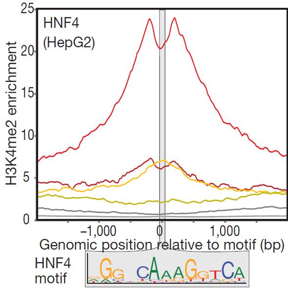 showed dips) in HepG2 enhancers Dip evidence of