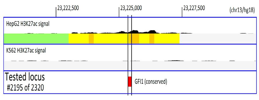 Repressors of HepG2