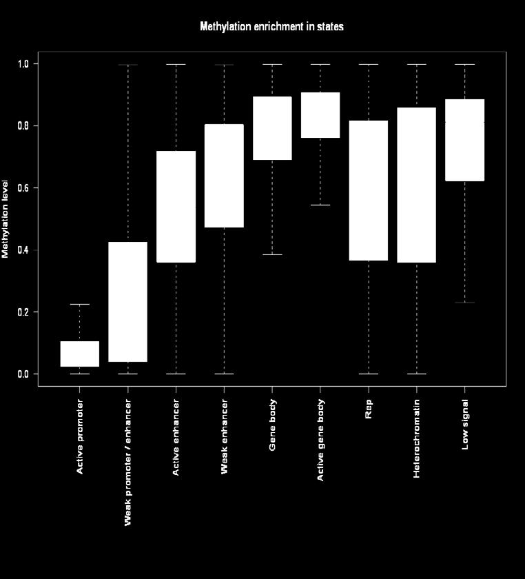 bodies: Stable high (active) Enhancers/poised: Most variable