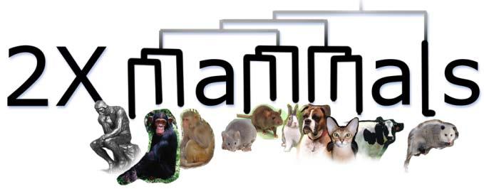 Institute Epigenome