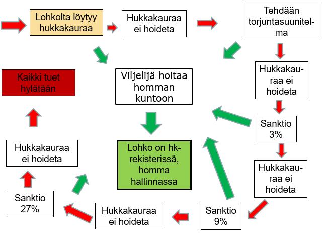 Hukkakaurasta 17.4.