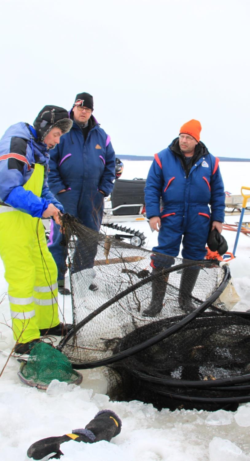 Measures Publicity Tiedotus, uusien kalastajien löytäminen Training: cooperative, FLAG Koulutukset (osuuskunta, Lapin kalatalouden toimintaryhmä, ostopalvelut) Uusien kalastajien neuvonta ja