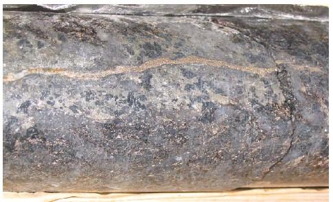 sheared mica gneiss, OL-KR22, ca. 390 m.