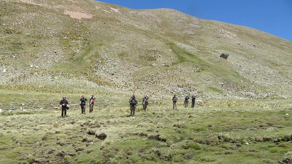 Puna Tinamouta etsimässä, Abra de Lizoite, korkeus noin 4 500 m.