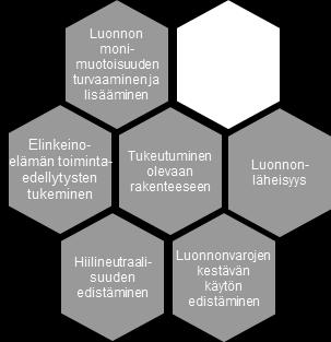 Ympäristön voimavaroja ja vetovoimaa ylläpidetään ohjaamalla kasvu tukeutuen olemassa olevaan rakenteeseen.