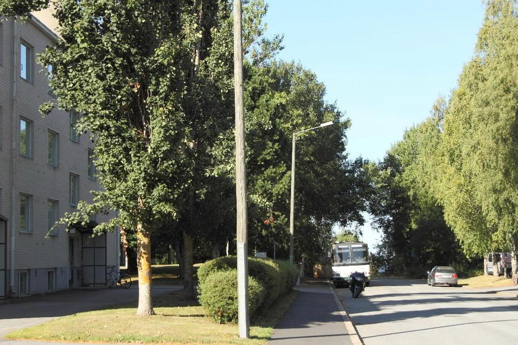 2.2 Yleistietoa alueen luonnosta Selvitysalueen pinta-ala on noin 13 hehtaaria. Alueen eteläpuoli koostuu teollisuusrakennuksista, joita ympäröi sora- ja asfalttikentät.