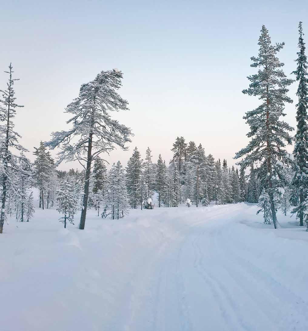 Pienriistan metsästäjät kävelevät