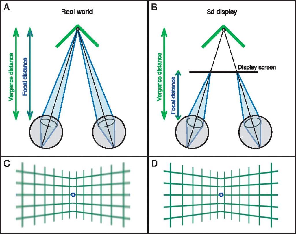 14 Osa havainnekuvasta, jossa näytetään silmien akkomodaation ja kierron eroavaisuudet katsottaessa todellista maailmaa tai 3D-näyttöä (Hoffman ym. 2008).