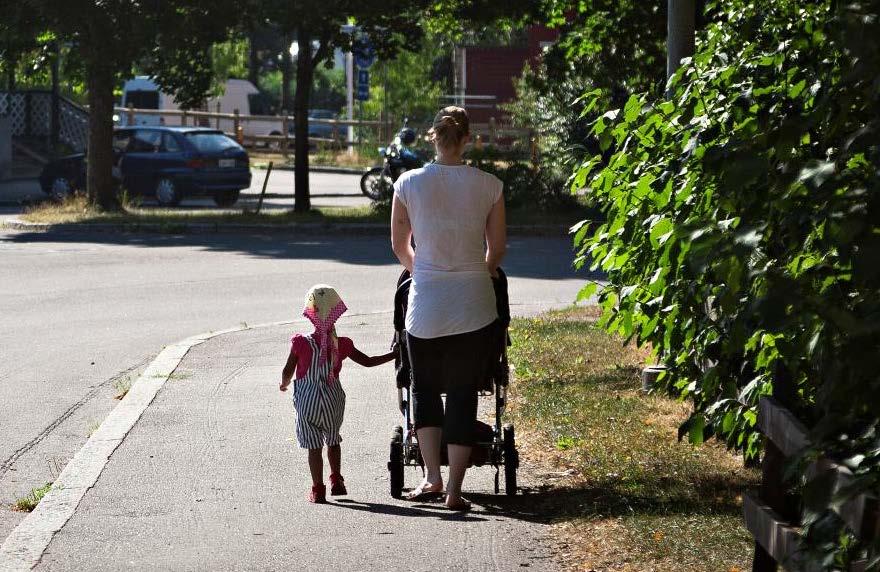 Mielenterveyspalv elut: helppo pääsy ja kohtuuhintaisuus *sosiaali- ja terveydenhuollon palvelujen