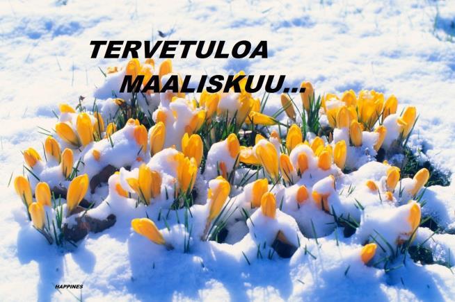 MAALISKUU 2019 - saaristolautakunta saaristo- ja maaseutualueen tapahtumiin ja toiminnan kehittämiseen, lisätietoja puh. 040 900 0866, tiina.rinne-kylanpaa(at)naantali.