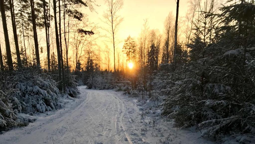 Yhä useampi matkailija tekee arvovalintoja Matkailijat haluavat autenttisia ja aitoja kokemuksia Tiedostava matkailu on trendi Matkailijan valintojen taustalla vaikuttavat arvot Vastuullisen