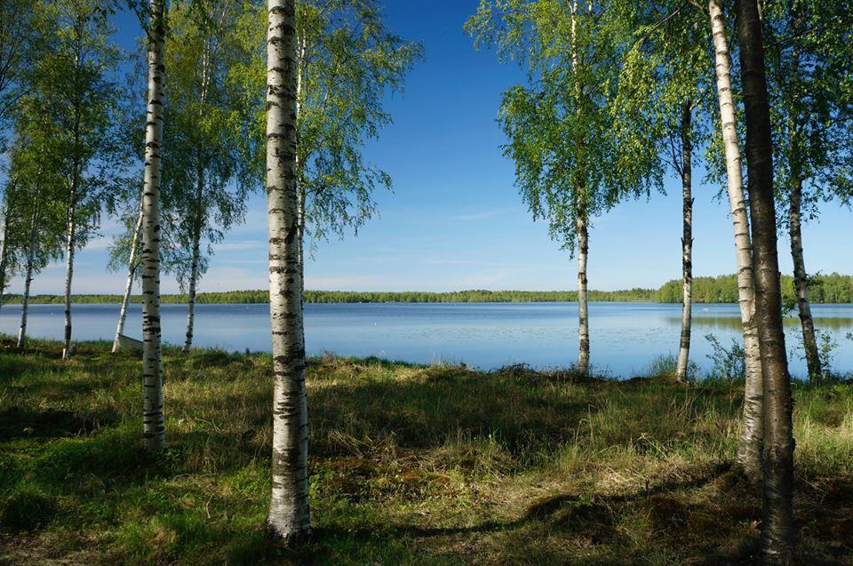 Teollisia mineraalisia sivuvirtoja hyödyntävät vesien