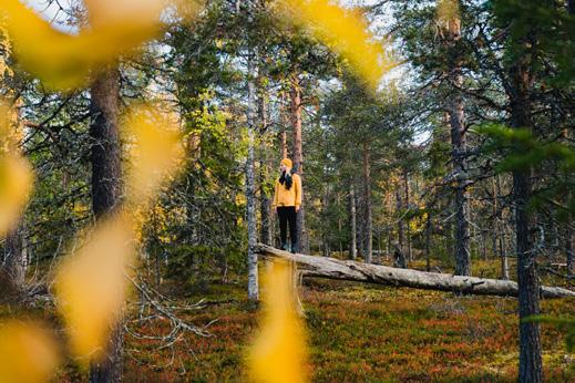 Selvitystyö Leader Tunturi-Lappi ry toimi osatoteuttajana Valoisten kesäöiden ja keskiyönauringon kasvattamaa Sinulle liiketoimintamallin konseptointihankkeessa tilaten Tunturi-Lapin aluetta koskevan